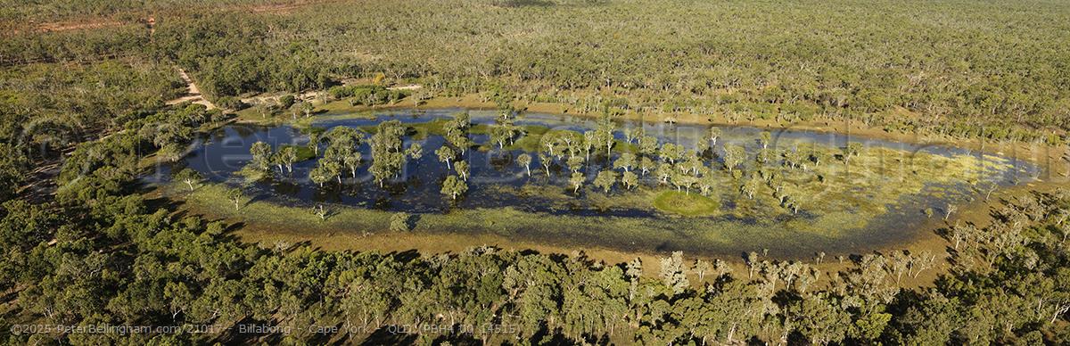 Peter Bellingham Photography Billabong - Cape York - QLD (PBH4 00 14515)